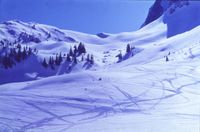 Genf, Skispuren im Schnee